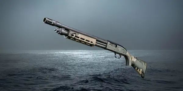 shot gun weapon